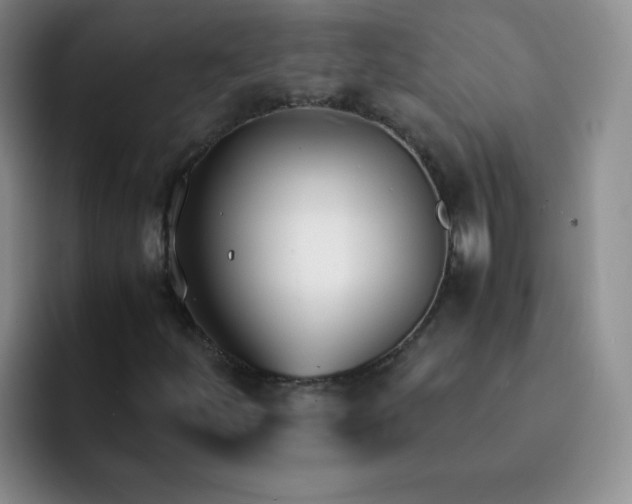 X0000091661252200709201138