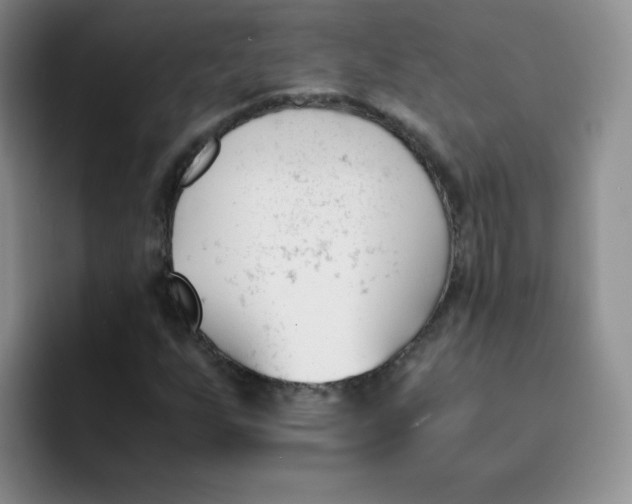 X0000091661255200709201138