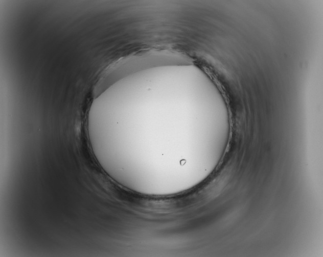 X0000091661257200709201138