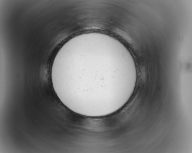 X0000091661258200709201138