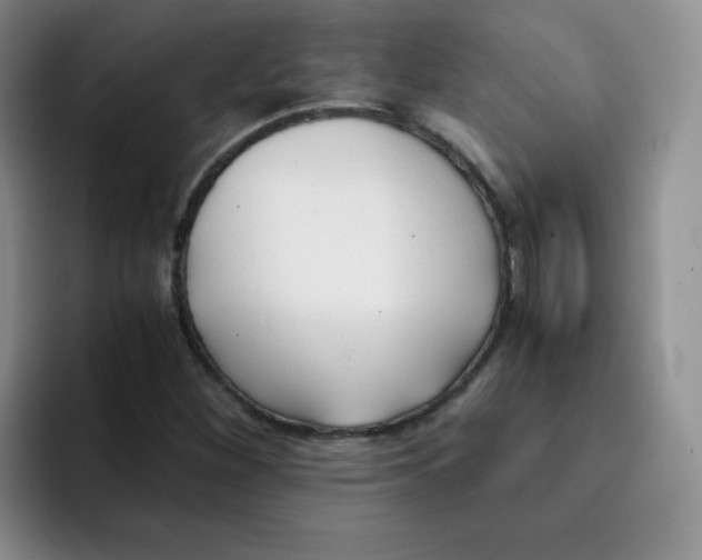 X0000091661260200709201138