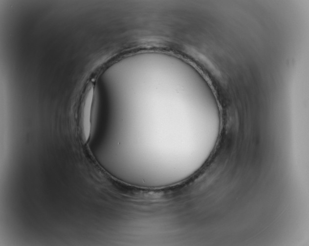 X0000091661261200709201138
