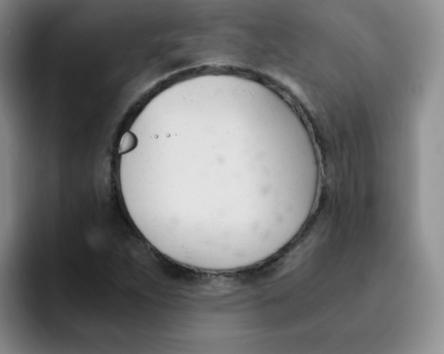 X0000091661263200709201138