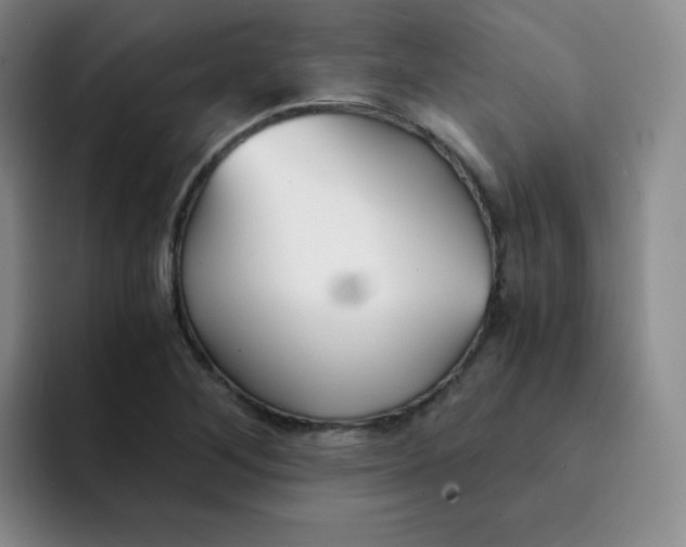X0000091661268200709201138
