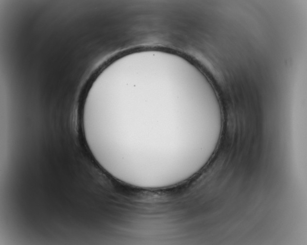 X0000091661270200709201138