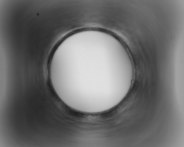 X0000091661271200709201137