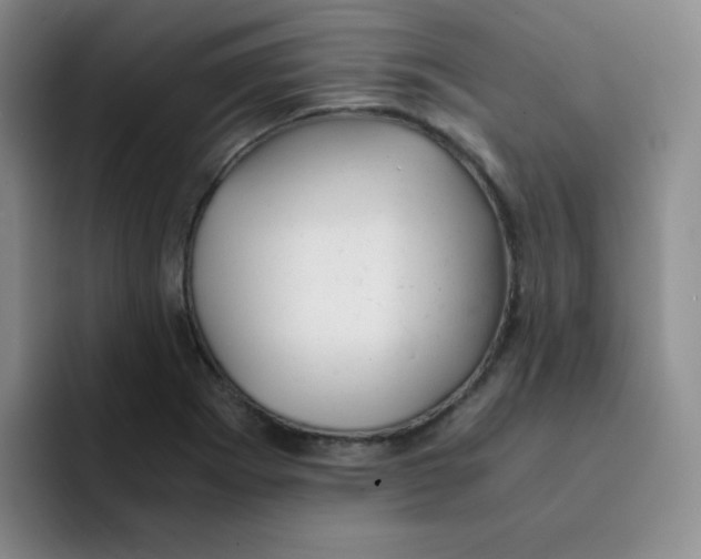 X0000091661273200709201137