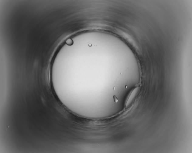 X0000091661275200709201137