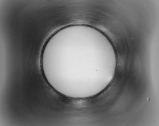 X0000091661278200709201137