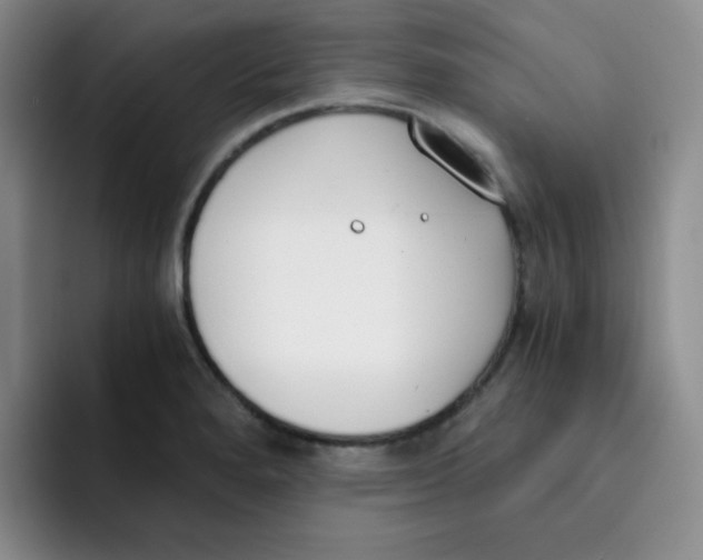 X0000091661280200709201137