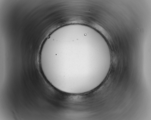 X0000091661282200709201137