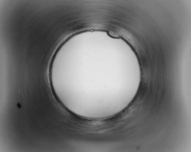 X0000091661283200709201137