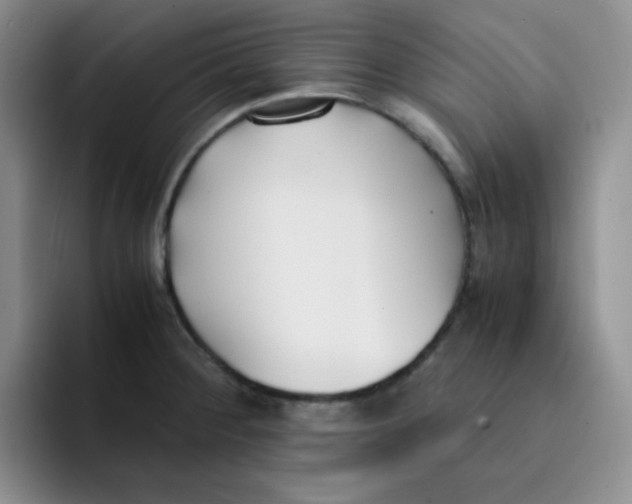 X0000091661284200709201137