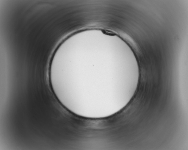 X0000091661288200709201137