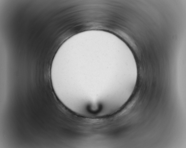 X0000091661289200709201137