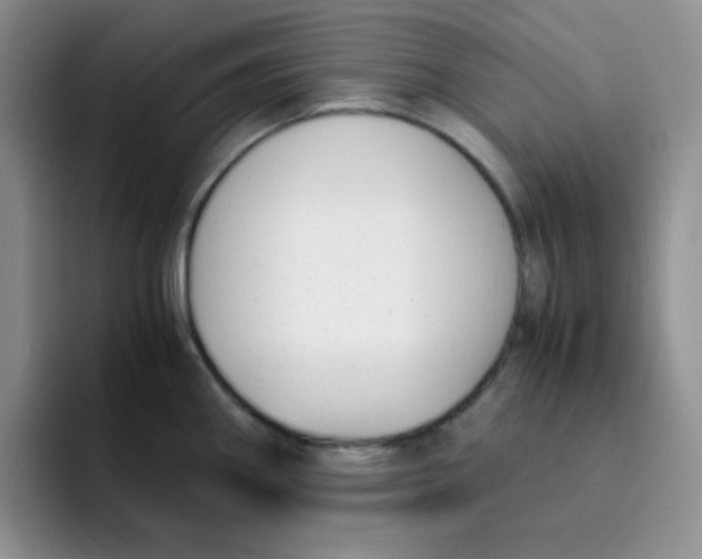 X0000091661290200709201137