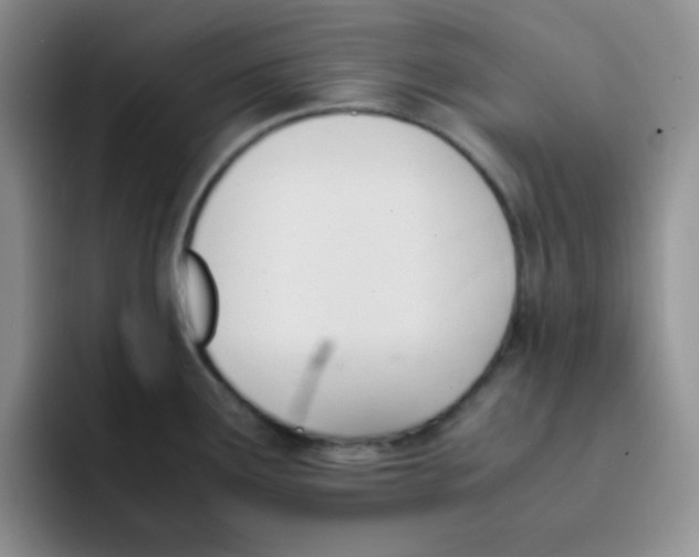 X0000091661291200709201137