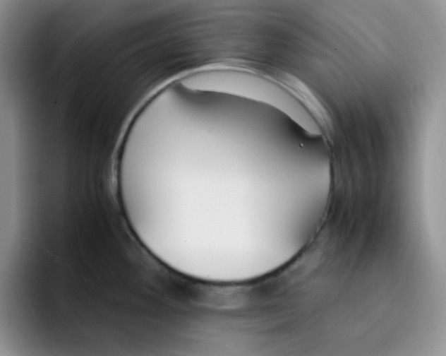 X0000091661292200709201137