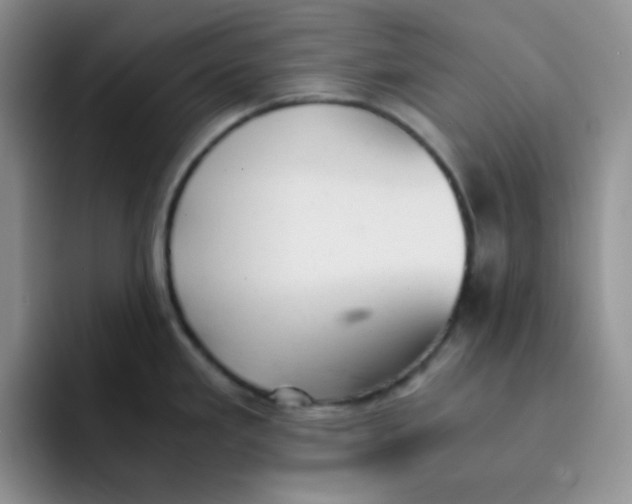 X0000091661293200709201137