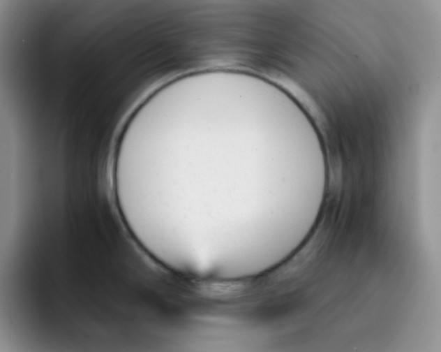 X0000091661294200709201137