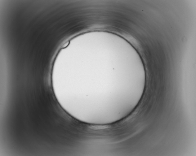 X0000091661296200709201137