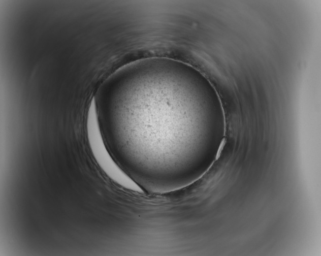 X0000091661298200709201137