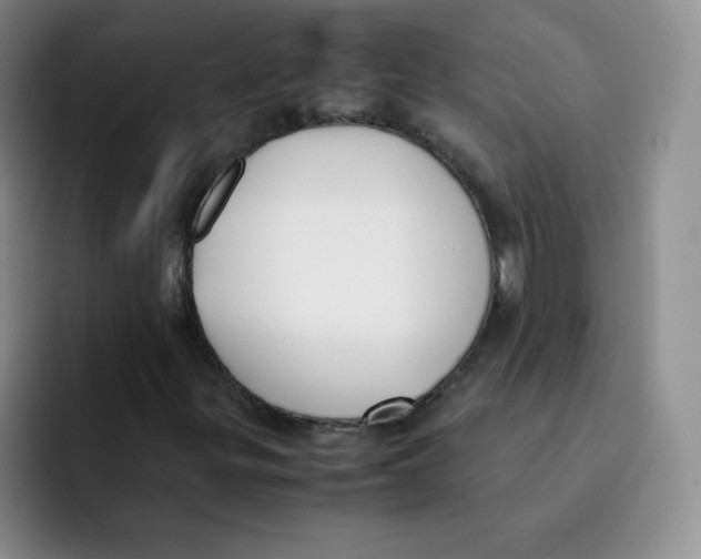 X0000091661299200709201137