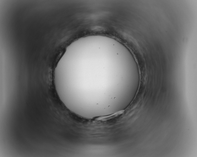 X0000091661301200709201137