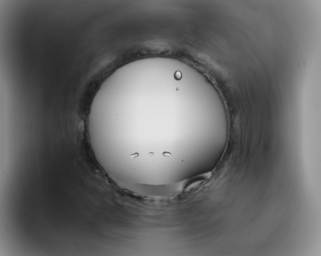 X0000091661302200709201137