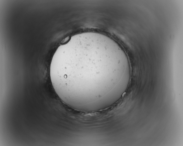 X0000091661303200709201137