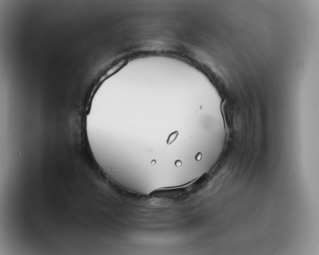 X0000091661304200709201137