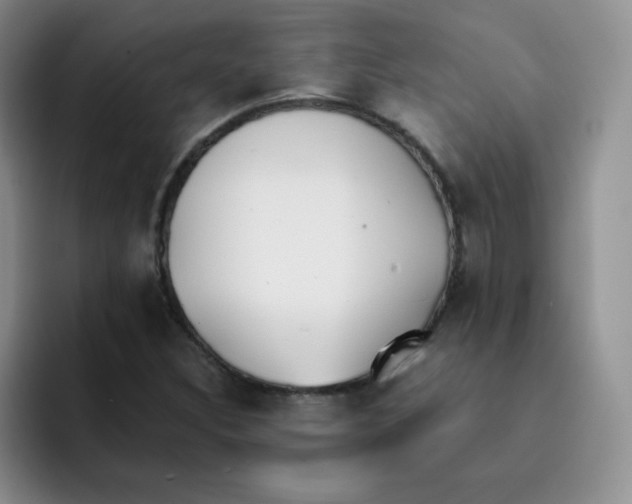 X0000091661308200709201137