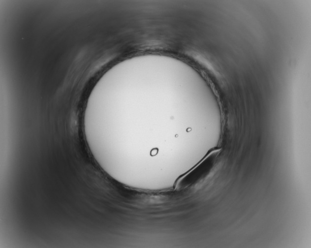 X0000091661309200709201137