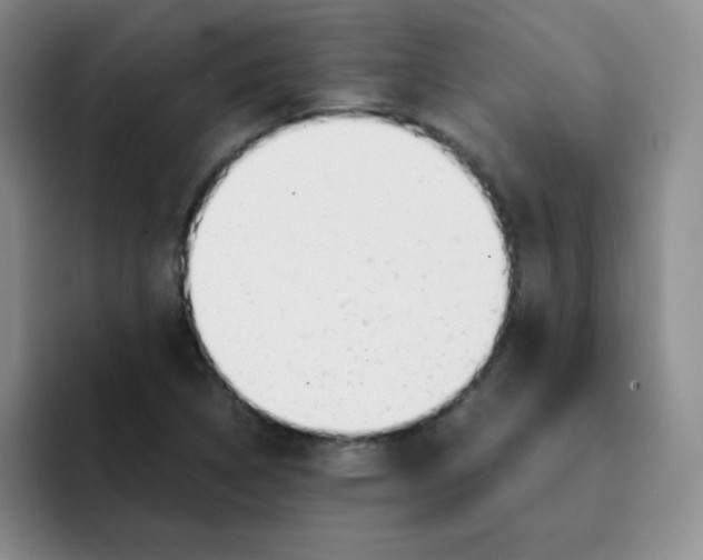 X0000091661314200709201137