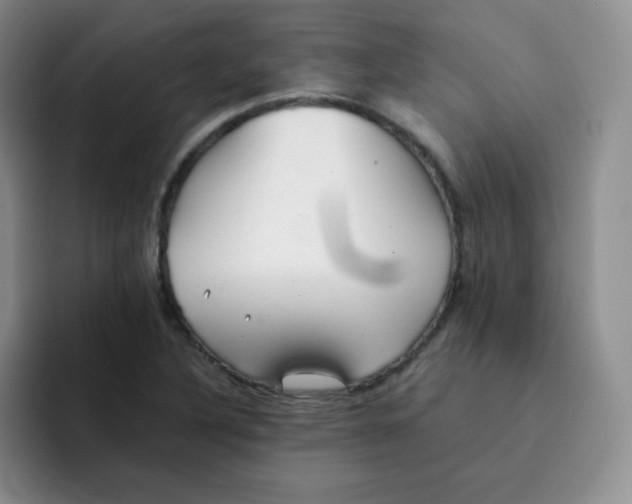 X0000091661316200709201137