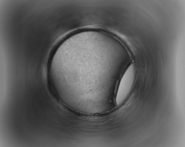 X0000091661319200709201137