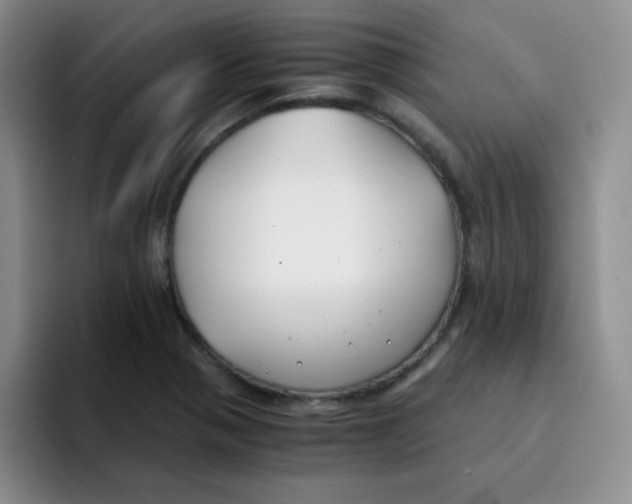 X0000091661321200709201137