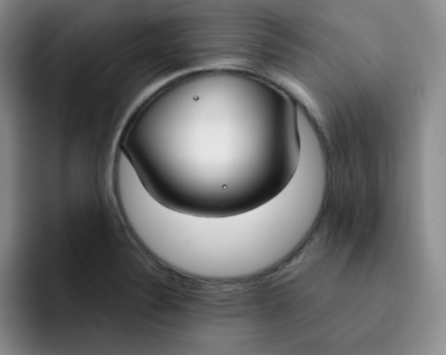 X0000091661324200709201137