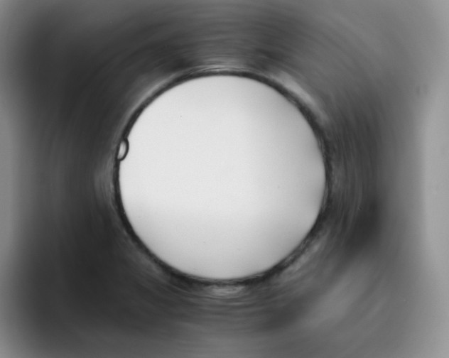 X0000091661325200709201137