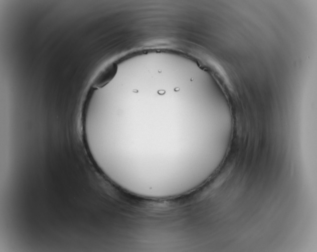 X0000091661328200709201137