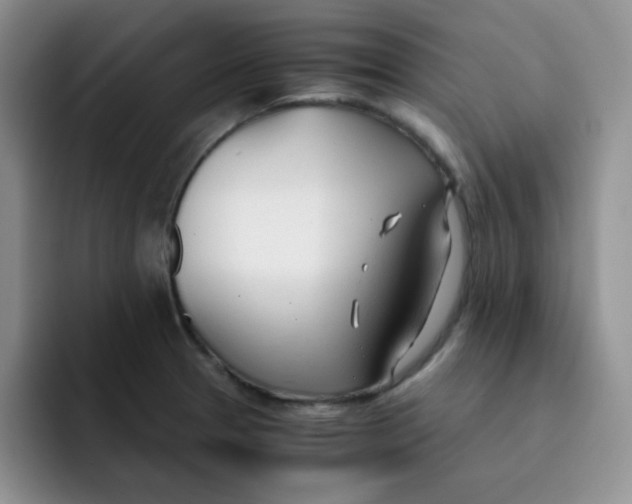 X0000091661329200709201137