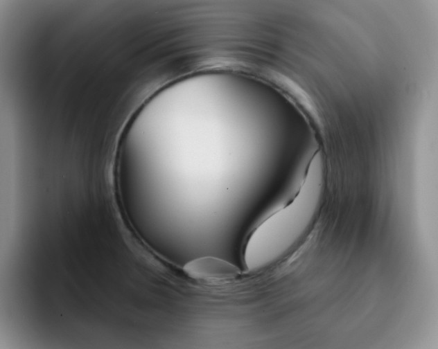 X0000091661330200709201137