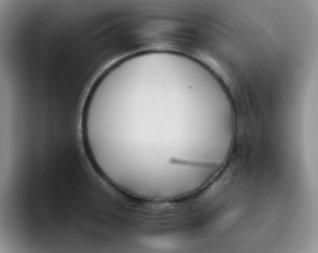 X0000091661331200709201137