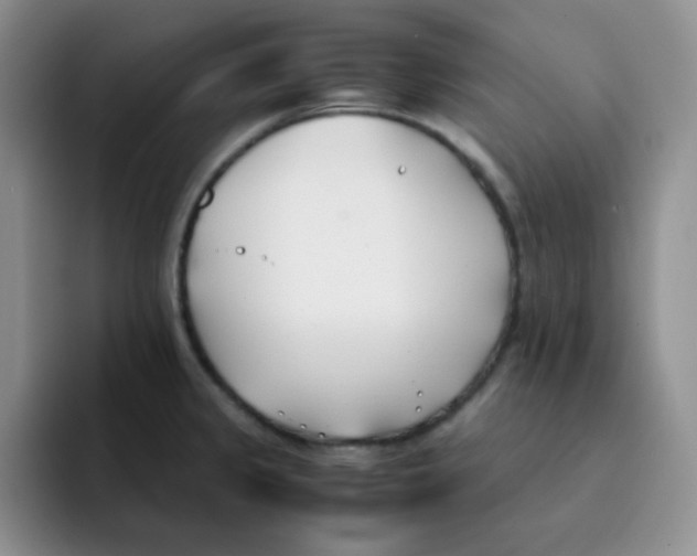 X0000091661333200709201137