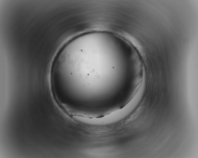 X0000091661334200709201137