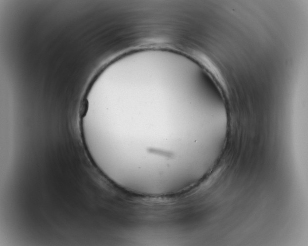 X0000091661336200709201137