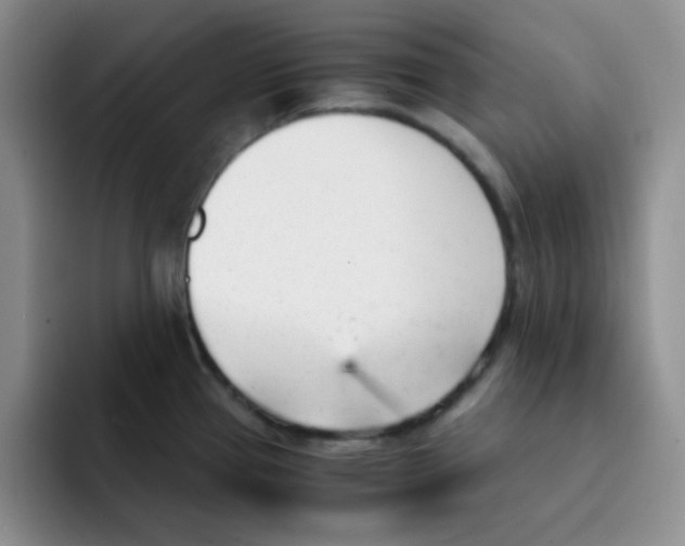 X0000091661337200709201137