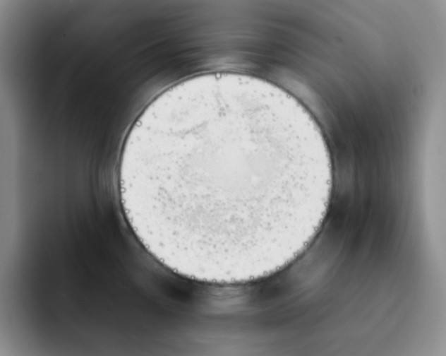 X0000091661338200709201137