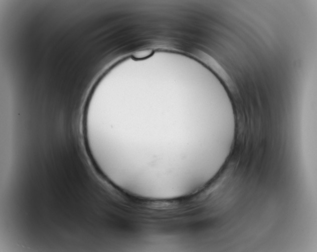 X0000091661339200709201137