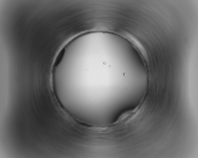 X0000091661340200709201137